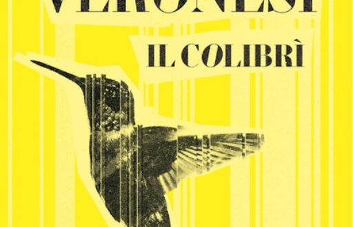 copertina il colibri