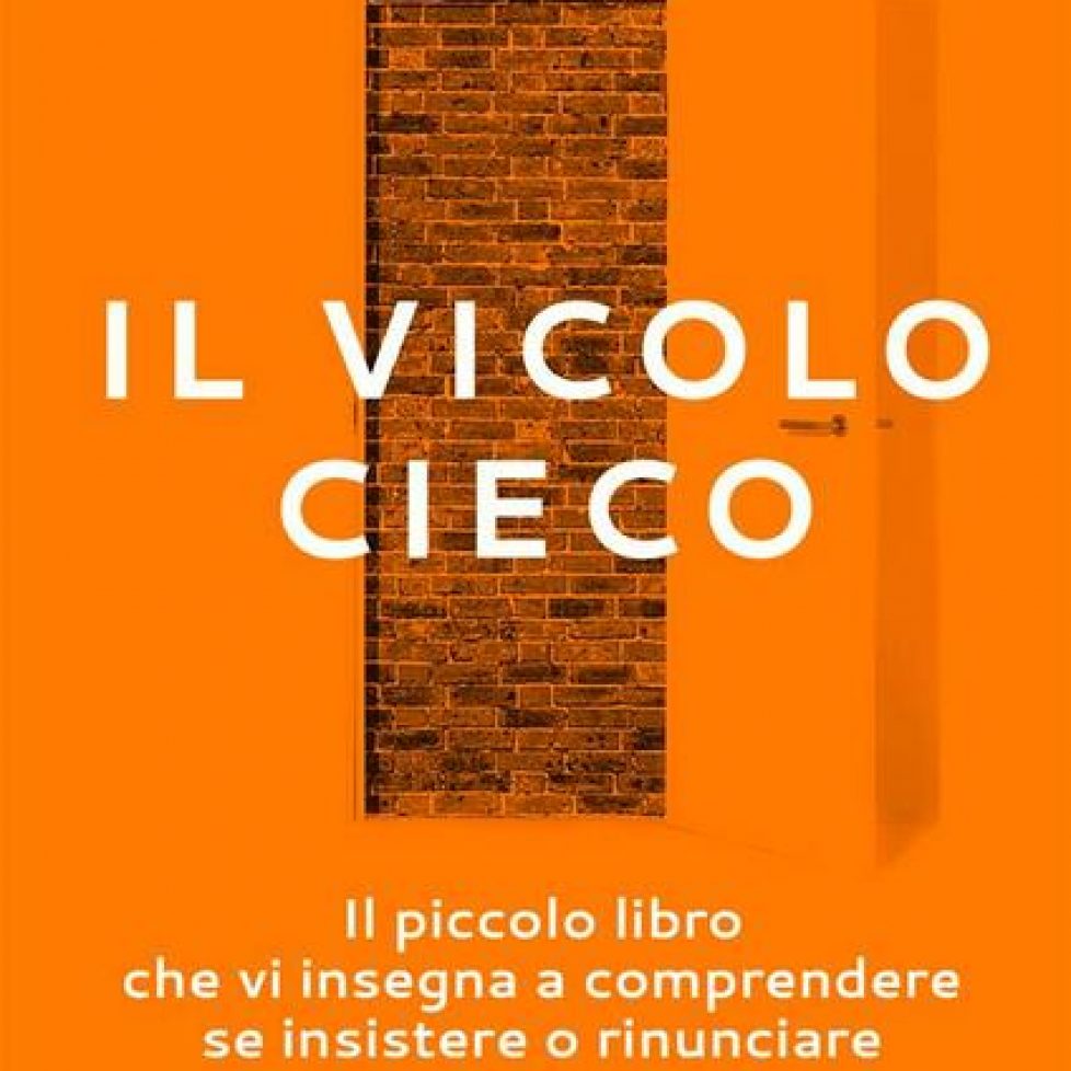 Il vicolo cieco - copertina